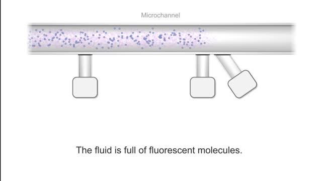 Measuring Nanoflow Rates with Fluorescence