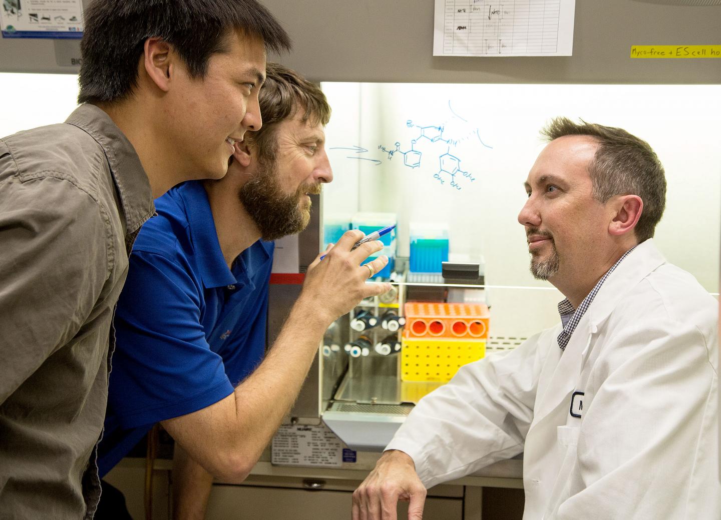 Salk Institute and Sanford Burnham Prebys Medical Discovery Institute Researchers