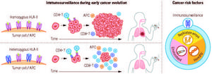 Immunosurveillance during early cancer evolution