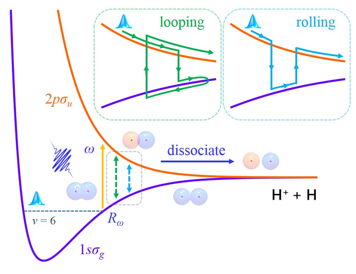 Schematic illustration of the dynamical Rabi coupling in strong-field dissociation of H₂⁺
