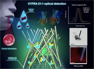 Synergistic Assembly of 1DZnO and Anti-CYFRA 21-1: A Physicochemical Approach to Optical Biosensing