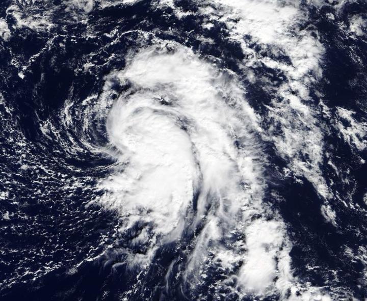 Terra Image of TD19