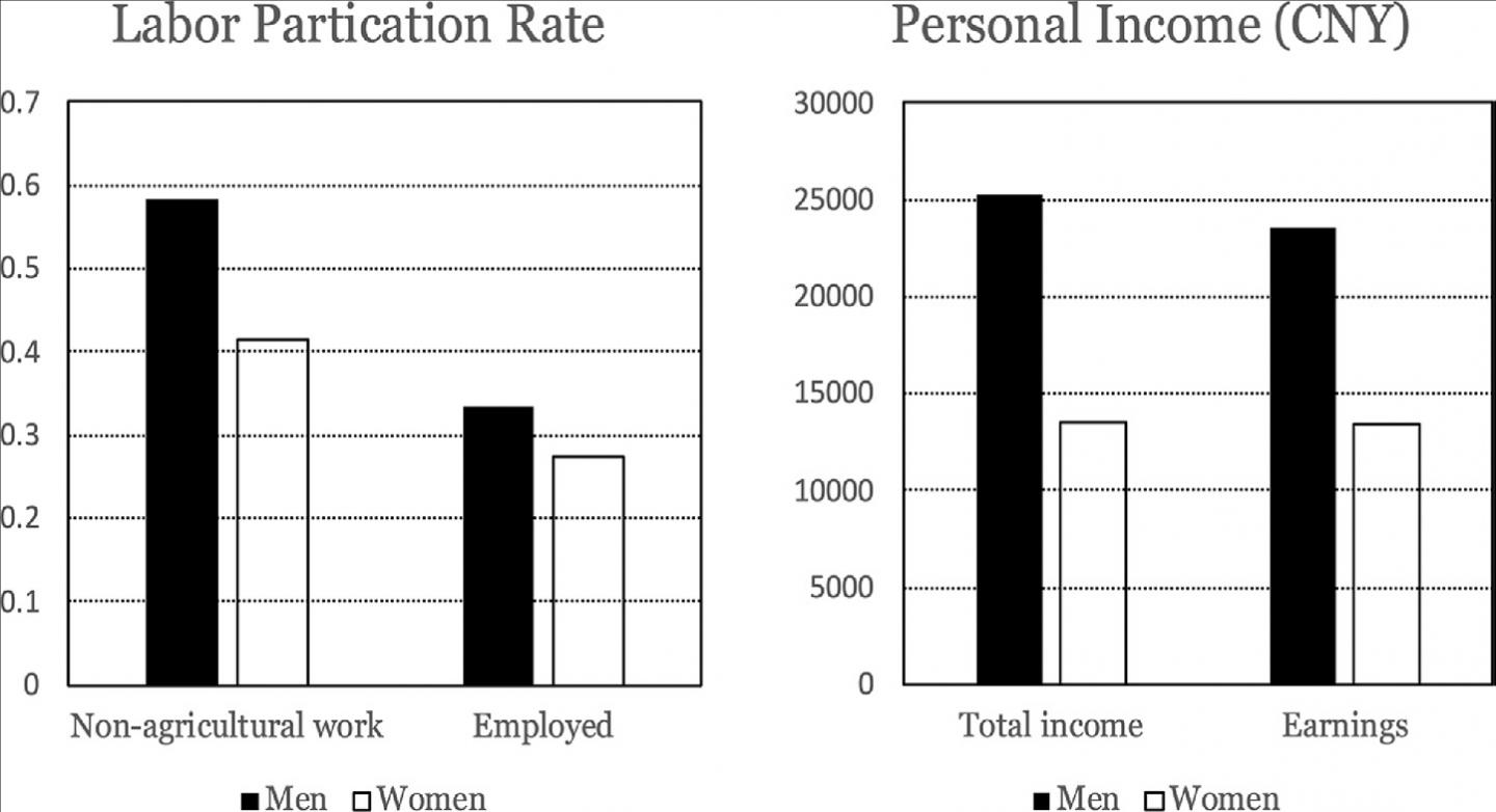 The study found striking gender gaps in labour force participation and earnings