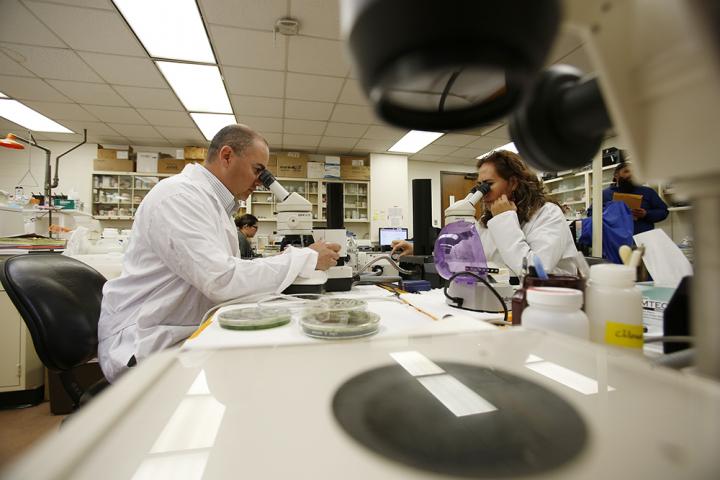 Microinvertebrates Research 2