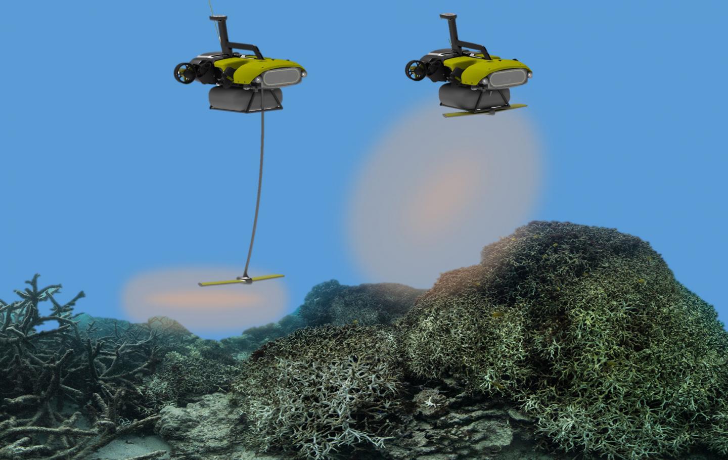 QUT's LarvalBot Helps Restore Great Barrier Reef
