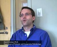 Dr. David Graham Speaks About Human Proteins Found in HIV Particles