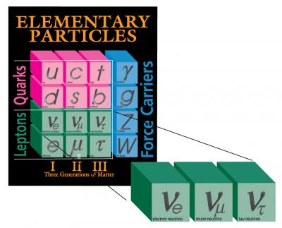 Neutrinos of the Standard Model