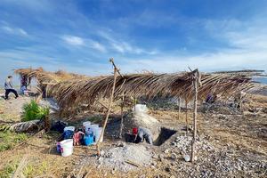 The team excavates ancient Maya mounds under palapas in a maize field.