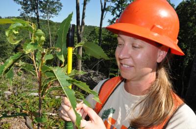 Stacy Clark, US Forest Service