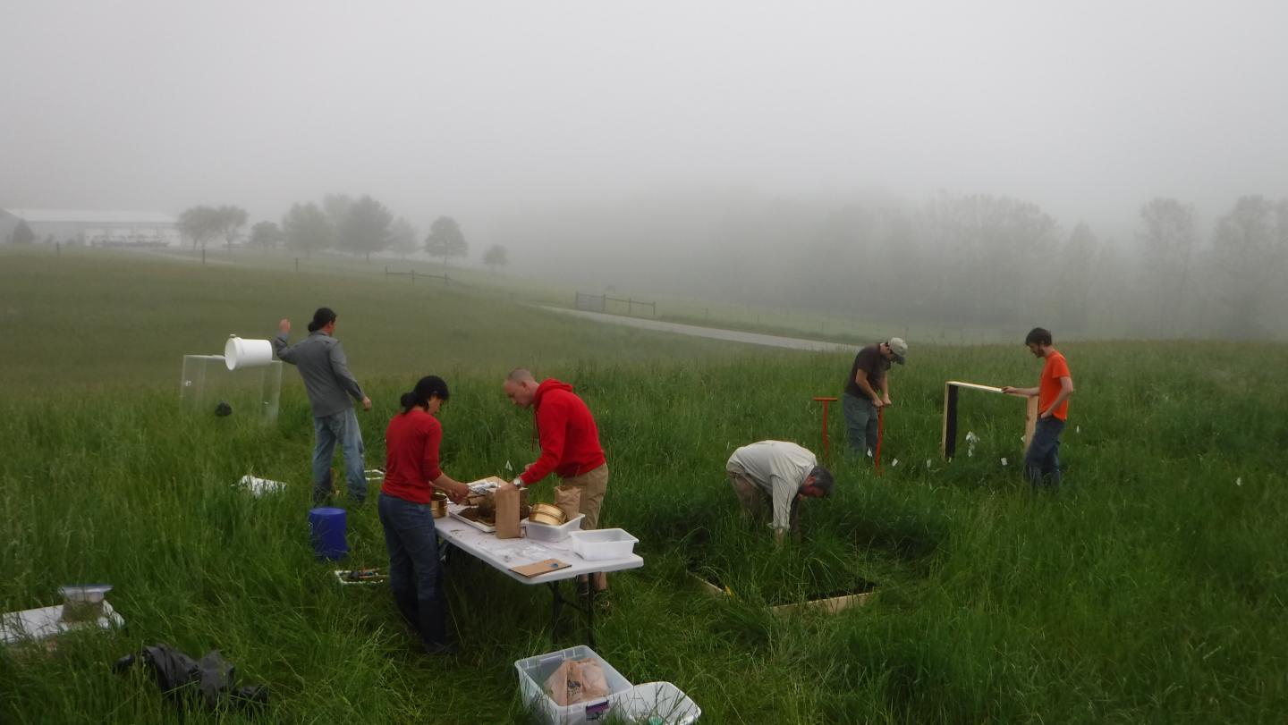 Wepking Strickland Research Team