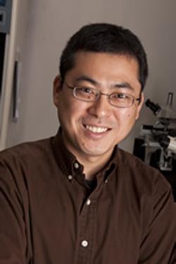 Ken-ichi Noma, Ph.D., The Wistar Institute