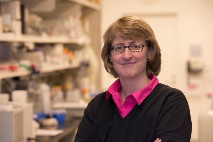 Dr. Amanda Paulovich, Fred Hutchinson Cancer Research Center 