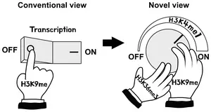 H3K9 methylation (H3K9me) as a dimmer switch