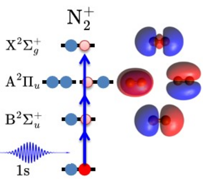 Watching the fate of molecular nitrogen with X-rays, when an electron has been kicked out