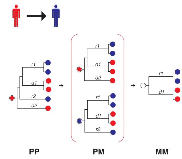 Computer Simulations Predict the Spread of HIV