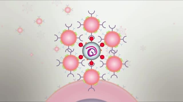 Animation of Nanosponges and SARS COV-2