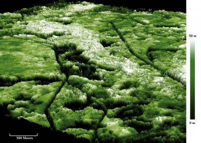 Using Lidar to Predict Bird Species Richness