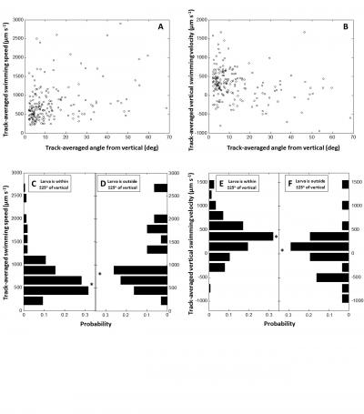 Correlation between Swimming Speed and Orientation Angle