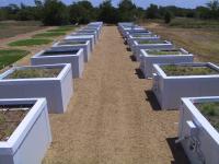 Research Plot With Green, Other Roofs