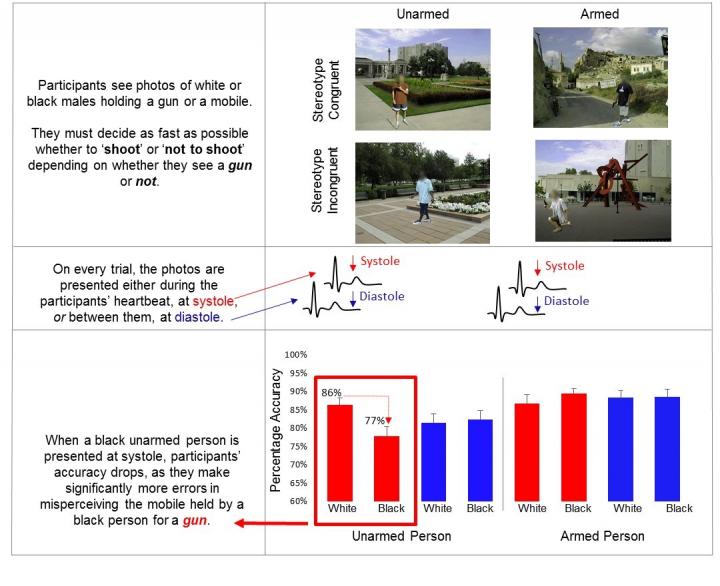 Racial Bias in a Heartbeat Graphic