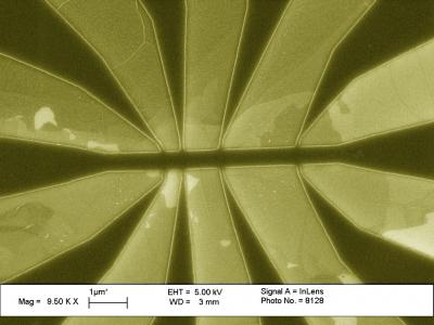 SEM Image of Graphene Circuitry