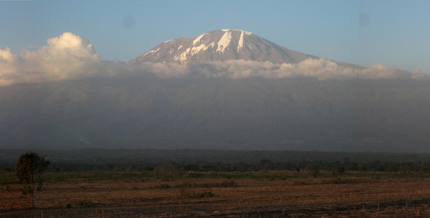 Important Research Field for Ecologists