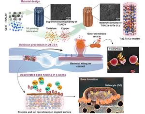 Synergistic antibacterial efficacy and enhanced biocompatibility of Ti3Al2V–Cu–Ta alloys toward early-stage osseointegration