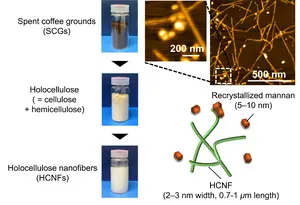 The mechanical nanofibrillation of holocellulose nanofibers (HCNFs) and the recrystallization of mannan.