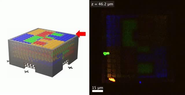 New Microfluidic System Makes 3-D Laser Lithography Easier (4 of 4)