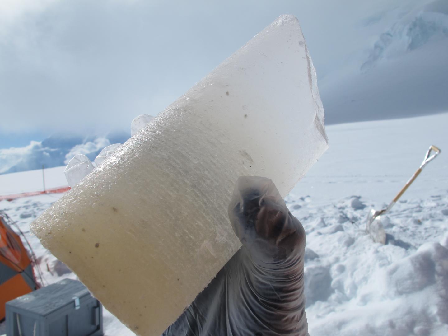 Section of Denali Ice Core