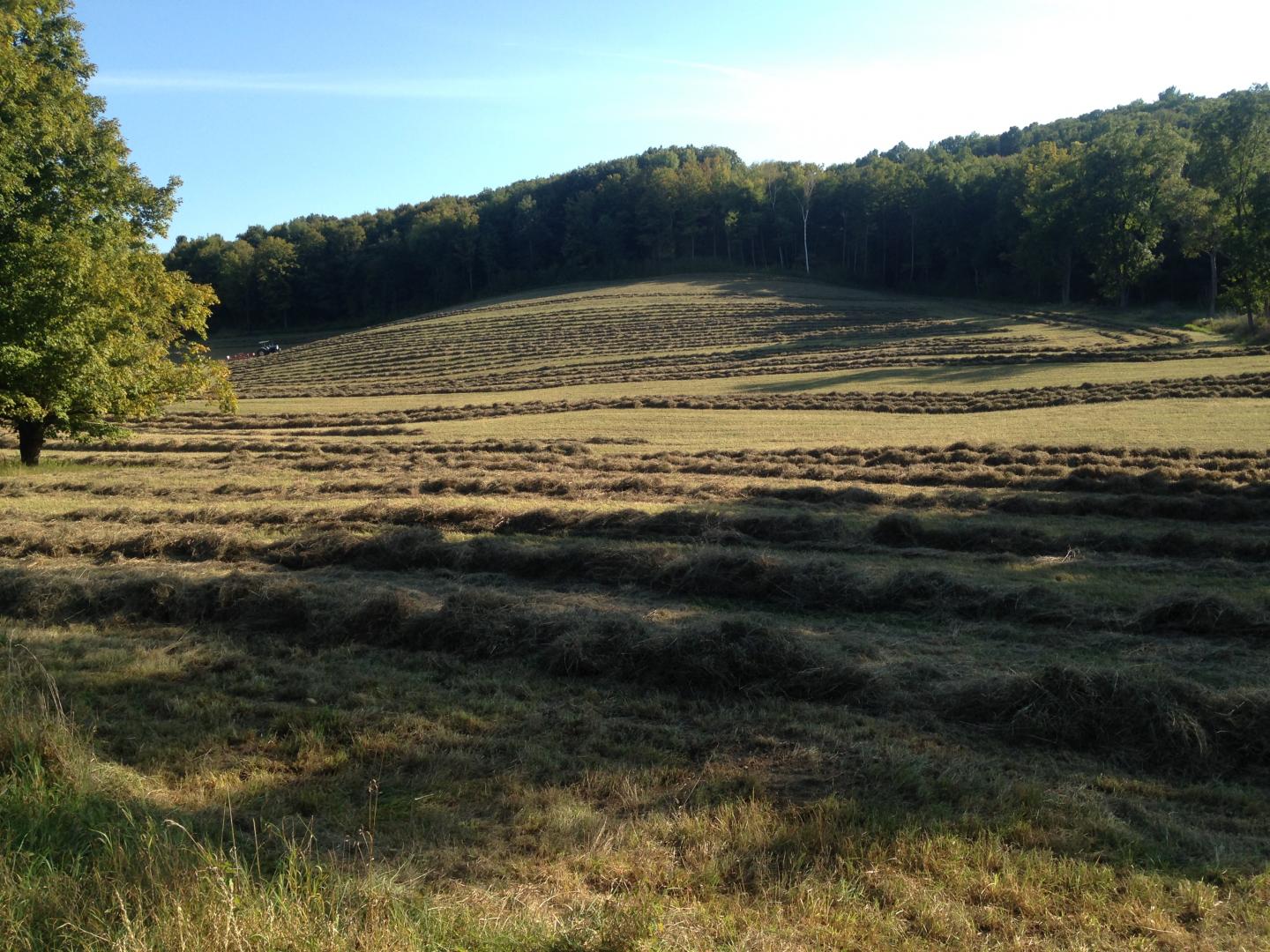 Mixed farming methods could reduce US emissions and increase productivity