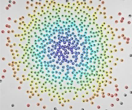 Self-propelled particles move through a cluster
