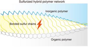 Sulfur cathode