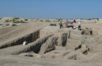 Excavations at the citadel of Dzhankent at the spot where the cat remains were found