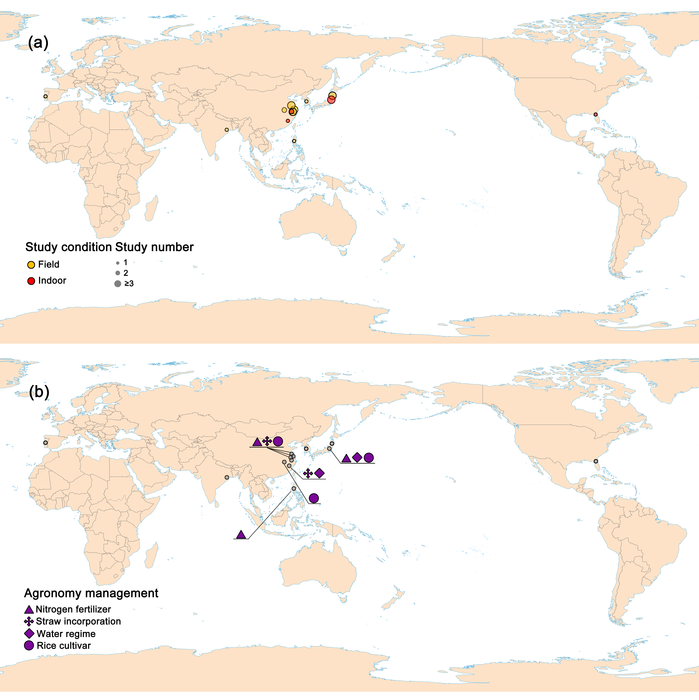 图1 稻田CH4和N2O排放对CO2浓度升高响应研究的试验地点和田间管理措施的全球分布
