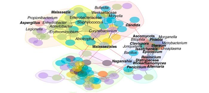 Inter-kingdom co-occurrence network for the respiratory tract microbiome.