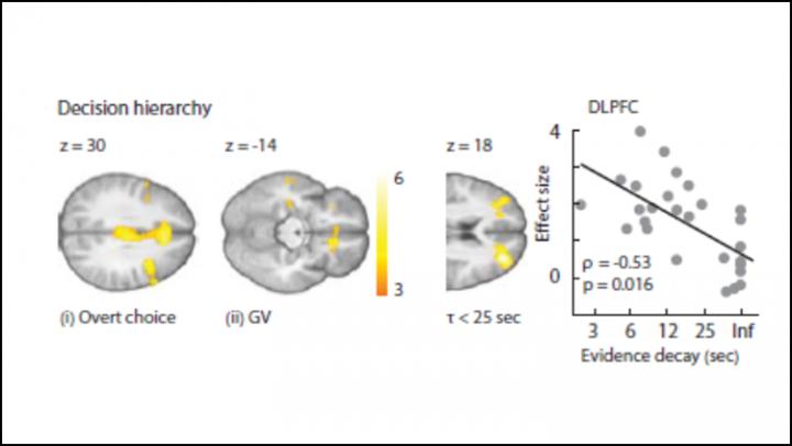 Happy Endings Trip Up the Brain's Decision-Making