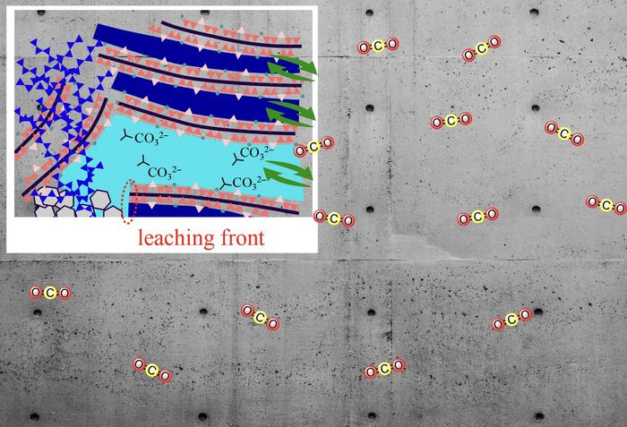 Relationship between the carbonation of cementitious materials and water transport phenomena