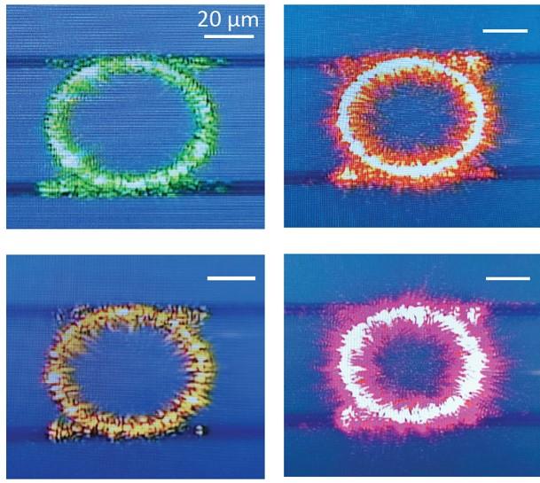 Series of nanophotonic resonators