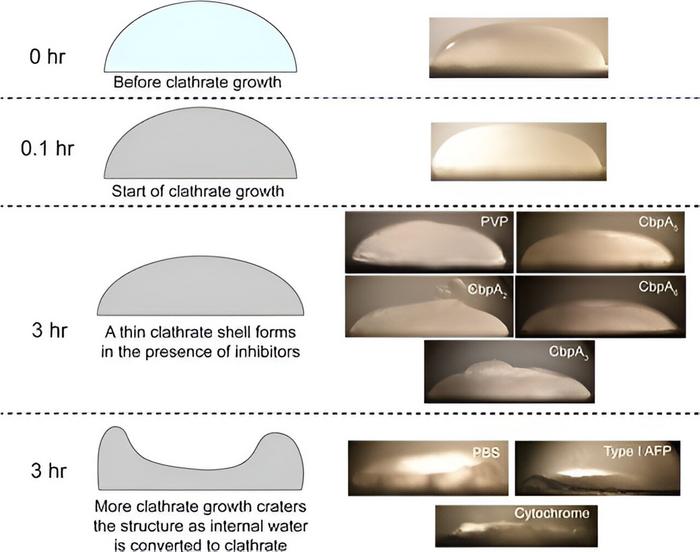Novel bacterial proteins from the seafloor shine light on climate, astrobiology