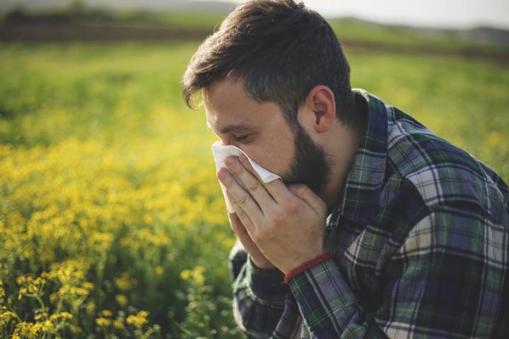 Pollen Detectives Work to Predict Asthma and Hay Fever
