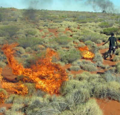 Human-Set Grass Fire in Australia