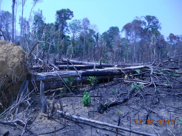 Malaria Risk in Deforestation Hotspots