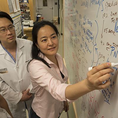 Study Offers New Insight into Huntington's Disease