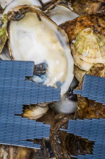 Printing Artificial Bone