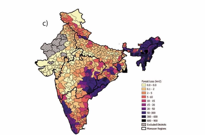 India forest loss