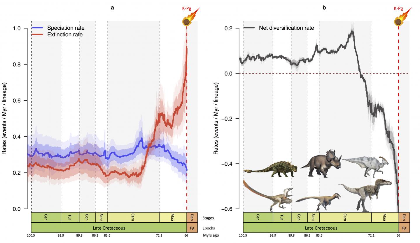 Graphs Showing the Decline of Dinosaurs in Their Last 10 Million Years