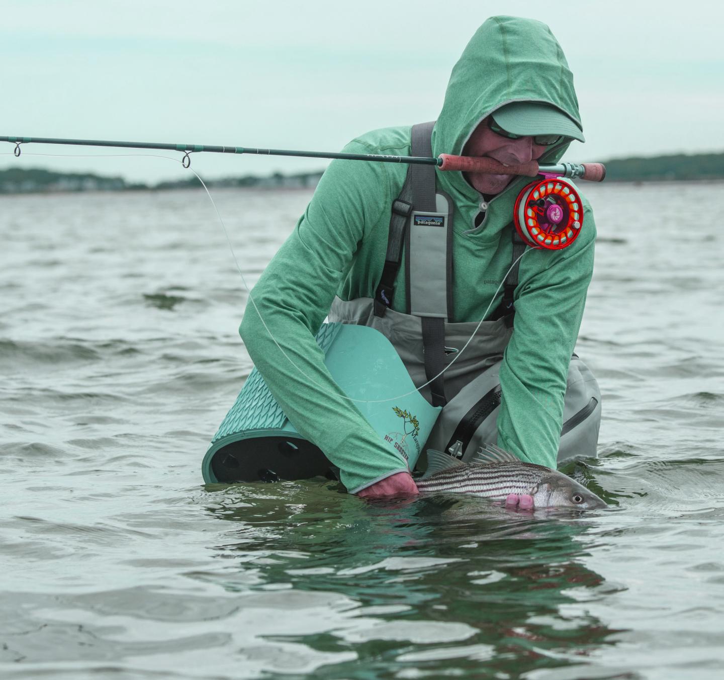 Andy Danylchuk releasing his catch.
