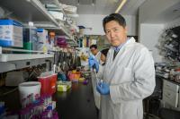 Zhenjia Wang in Lab Handling Nanoparticles