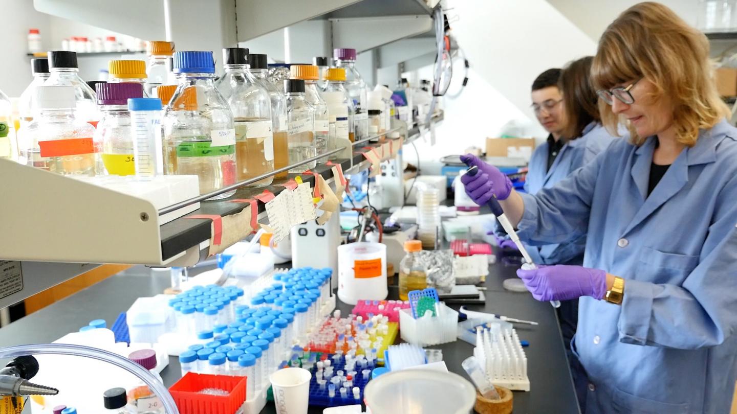 Modifying Baker's Yeast for Lowcost Detectio EurekAlert!